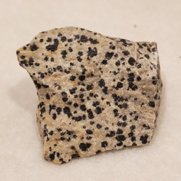 Natural Raw Dalmation Jasper Gemstone #2 Stone - Picture 1 of 6